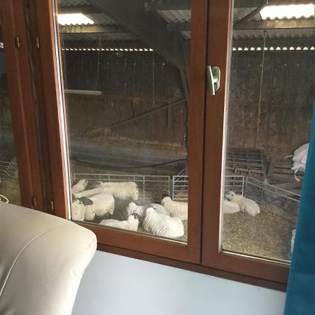 Bed and Breakfast Le Loup Dans La Bergerie Montmartin-sur-Mer Esterno foto